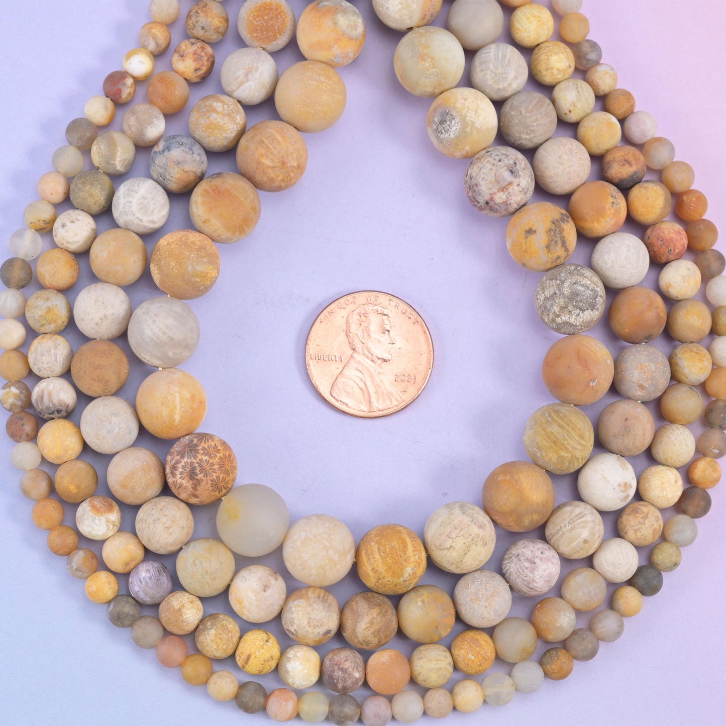 Fossil Coral Matte Round Beads, sandy cream, honey and pale grey rounds carrying fine flower-like fossil patterning