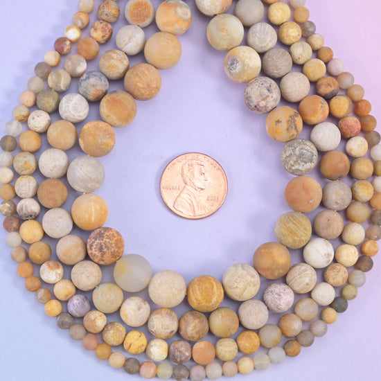 Fossil Coral Matte Round Beads, sandy cream, honey and pale grey rounds carrying fine flower-like fossil patterning
