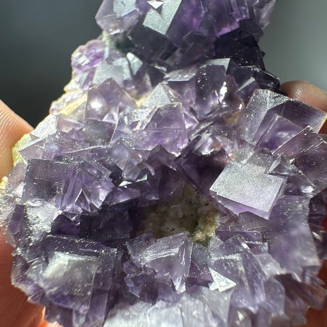 Overhead view of the fluorite cluster, dozens of sharp purple cubes packed across the crystal face