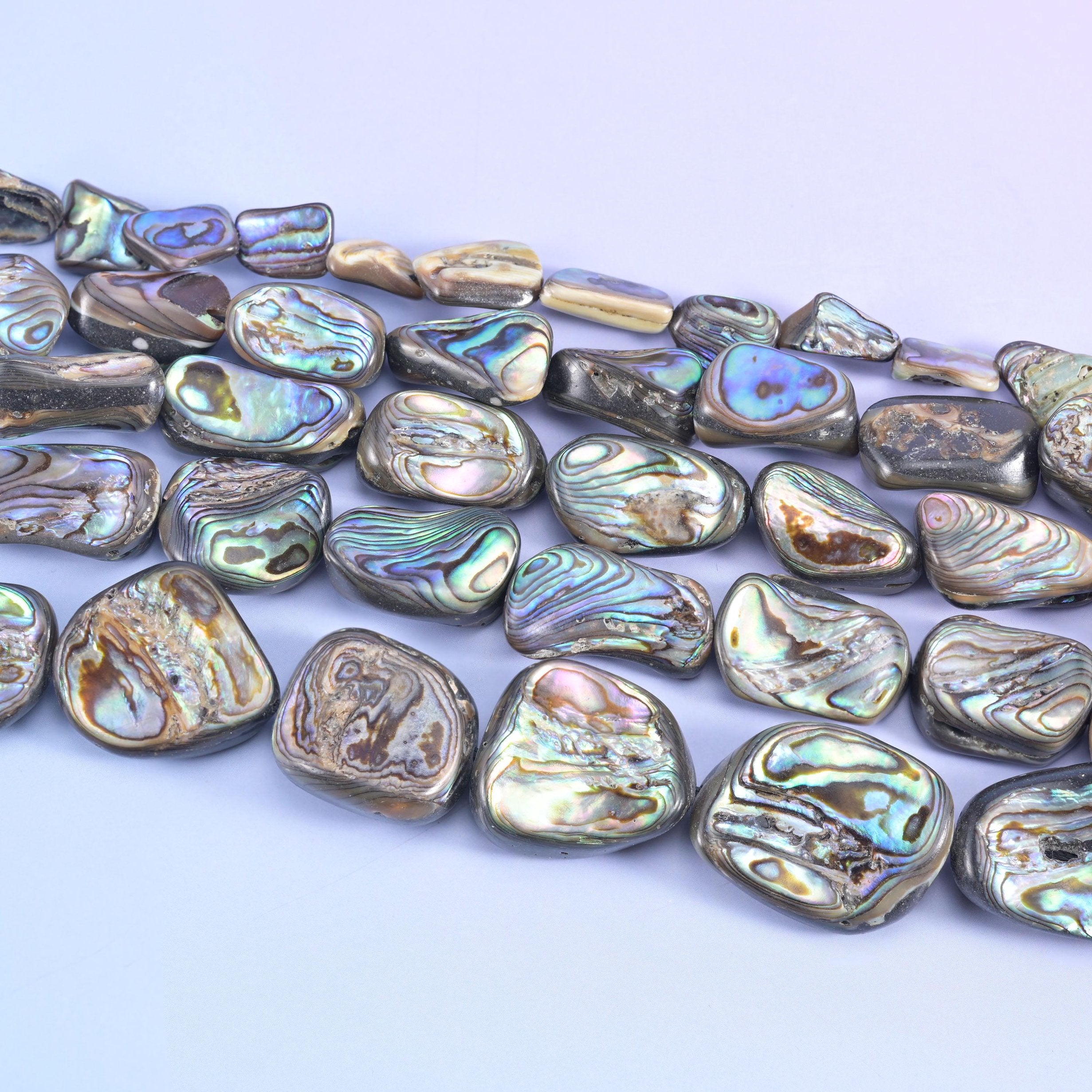Abalone Shell Freeform Nugget Beads 10-16mm to 25-29mm in silver grey and bronze with blue, green and pink iridescence