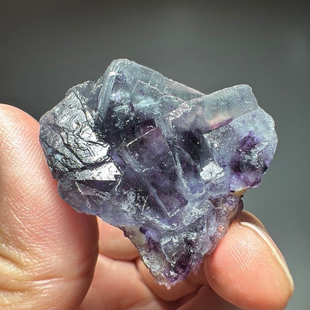 Purple cubic Fluorite specimen held in a hand, violet cubes inside pale grey crystal