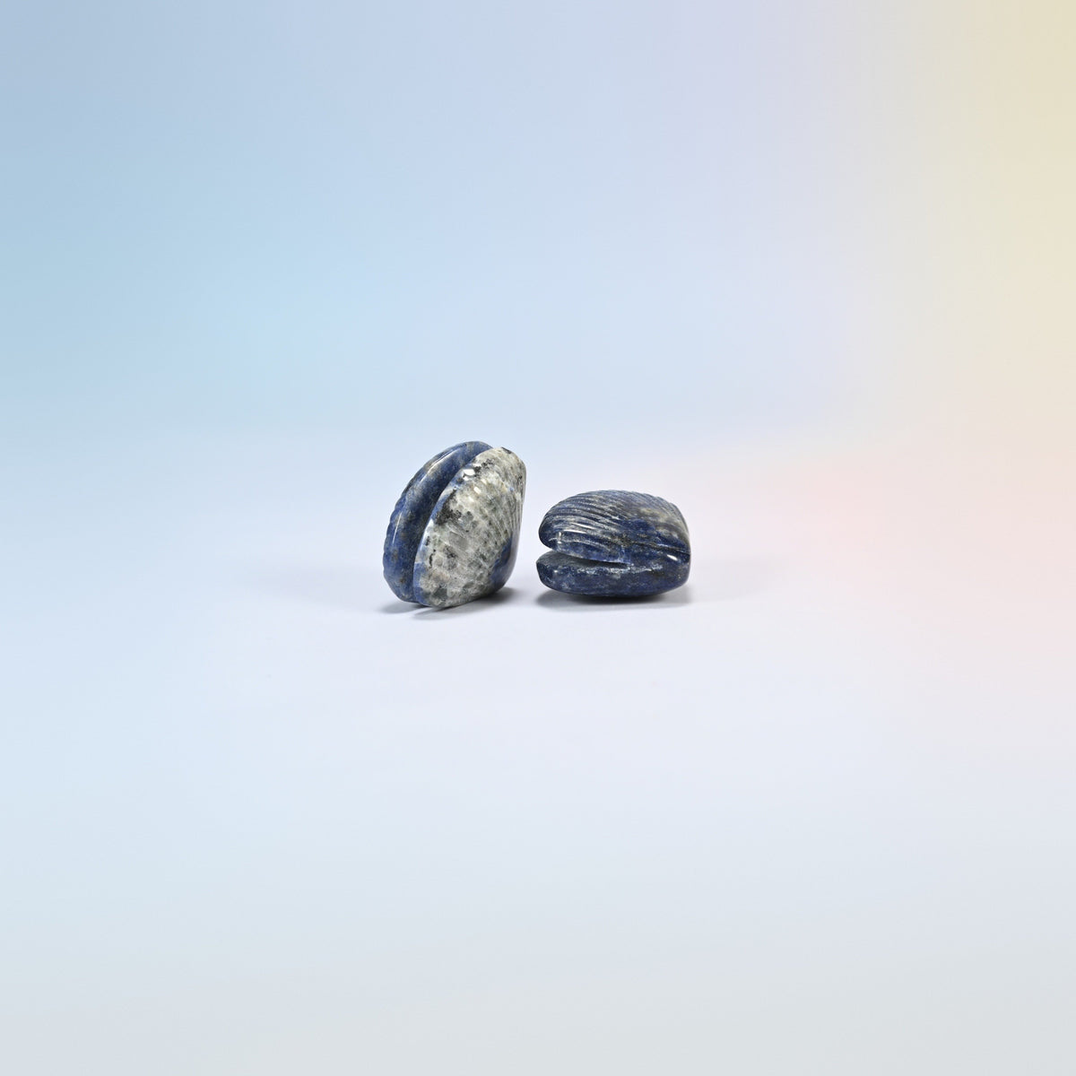 Two sodalite clam shell crystal carvings, 1.5 inch, deep blue natural stone with white veins