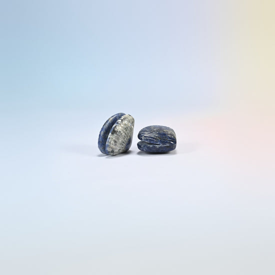 Two sodalite clam shell crystal carvings, 1.5 inch, deep blue natural stone with white veins