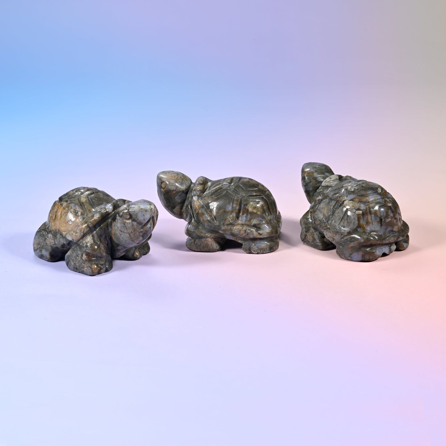 Gemstone turtle carving for shelf, desk or collection display