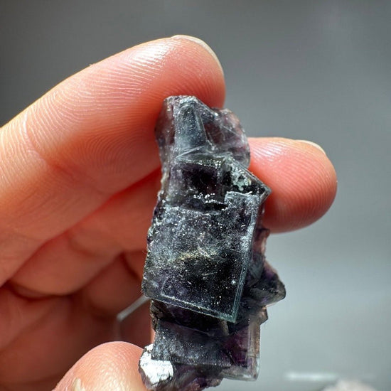 Small specimen held upright, glassy cube edges outlined against a soft grey background